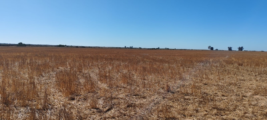 To Let 0 Bedroom Property for Rent in Hopefield Rural Western Cape